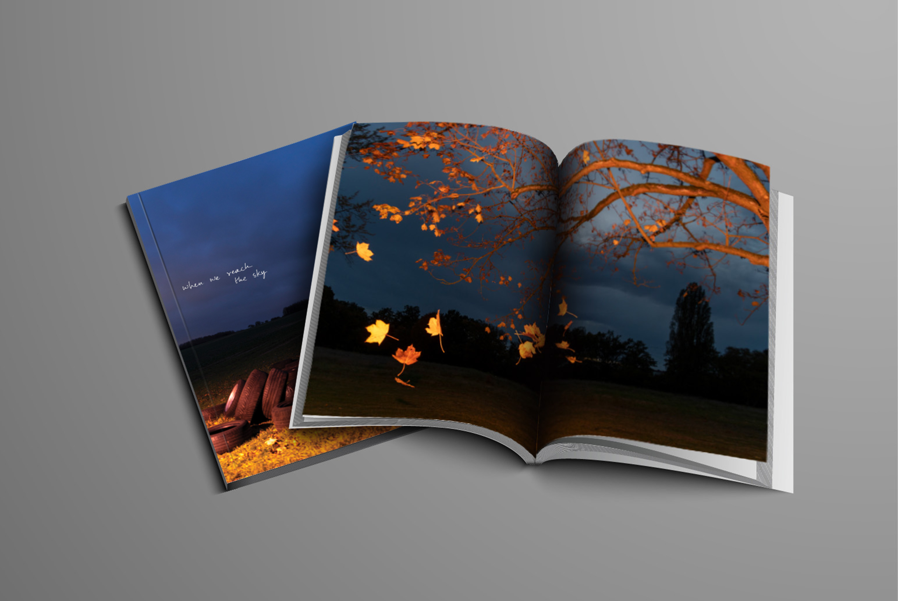 We'll Go Back to Our Roots When We Reach the Sky